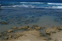 Canberra Contemporary Art Space - Gold Coast Attractions 0