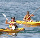 Manly Kayaks - Gold Coast Attractions