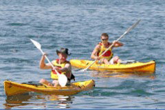 Manly Kayaks - Gold Coast Attractions 0