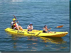 Manly Kayaks - Gold Coast Attractions 3