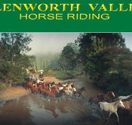 Glenworth Valley Horseriding - Gold Coast Attractions