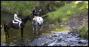Glenworth Valley Horseriding - Gold Coast Attractions 1