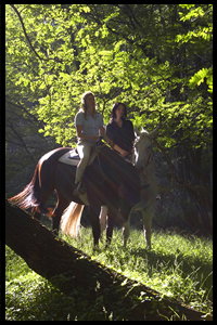 Glenworth Valley Horseriding - Gold Coast Attractions 2