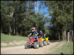 Glenworth Valley Horseriding - Gold Coast Attractions 3