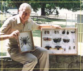Butterfly Farm - Gold Coast Attractions 1