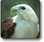 Kakadu National Park - Gold Coast Attractions