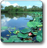 Kakadu National Park - Gold Coast Attractions 3