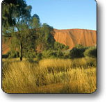 Uluru - Kata Tjuta National Park - Gold Coast Attractions