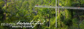 Rainforest Skywalk - Gold Coast Attractions 2