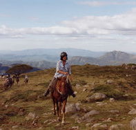 High Country Horses - Gold Coast Attractions