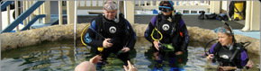 Scuba World - Gold Coast Attractions 2