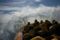 Jetboating Sydney - Gold Coast Attractions 1