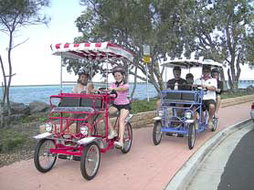 Book Hervey Bay QLD Attractions Gold Coast Attractions Gold Coast Attractions