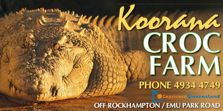  Gold Coast Attractions
