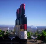 Mount Tamborine Winery  Homestead - Gold Coast Attractions