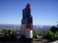 Mount Tamborine Winery & Homestead - Gold Coast Attractions 0