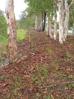 Kumbartcho Sanctuary - Gold Coast Attractions 1