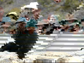 Gold Coast Attractions