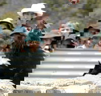 Tasmania Zoo - Gold Coast Attractions