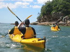 Sydney Harbour Kayaks - Gold Coast Attractions 1