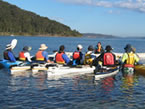 Sydney Harbour Kayaks - Gold Coast Attractions 2