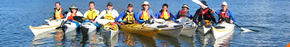 Sydney Harbour Kayaks - Gold Coast Attractions 3