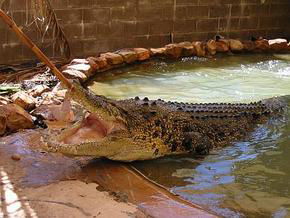 Prince Regent River WA Gold Coast Attractions