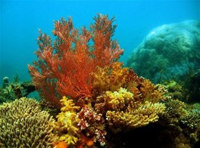  Gold Coast Attractions