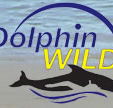 Dolphin Wild - Gold Coast Attractions