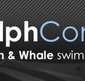 Dolphcom - Dolphin  Whale Swimming Adventures - Gold Coast Attractions
