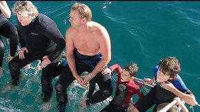 Dolphcom - Dolphin & Whale Swimming Adventures - Gold Coast Attractions 2