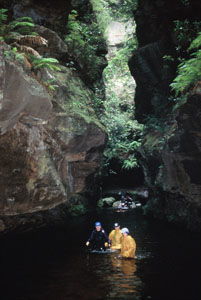 High And Wild Mountain Adventures - Gold Coast Attractions 1