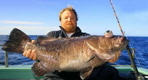 Oyster Bay NSW Gold Coast Attractions