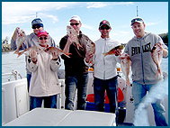Odyssey Charters - Gold Coast Attractions 2