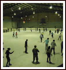 Bendigo Ice Stadium - Gold Coast Attractions 1