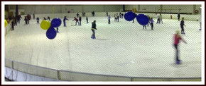 Bendigo Ice Stadium - Gold Coast Attractions 2