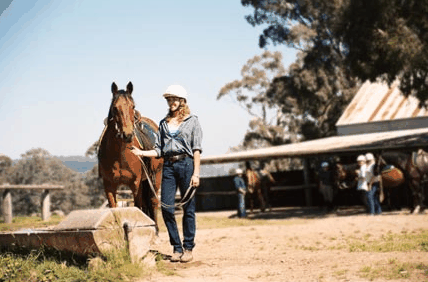 Watsons Trail Rides - Gold Coast Attractions