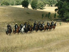 McCormacks Mountain Valley Trail Rides - Gold Coast Attractions