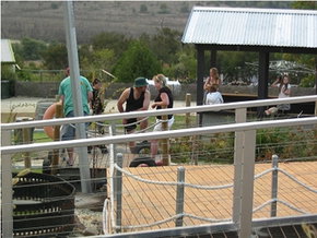 Gold Coast Attractions