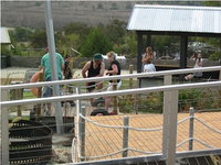 Book Glenunga Accommodation Vacations Gold Coast Attractions Gold Coast Attractions