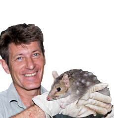 The Gap QLD Gold Coast Attractions