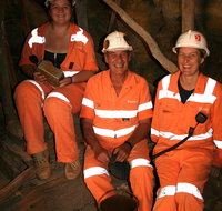 Mining Hall of Fame - Gold Coast Attractions