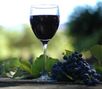  Gold Coast Attractions