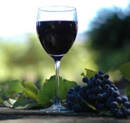 Lion Mill Vineyards - Gold Coast Attractions