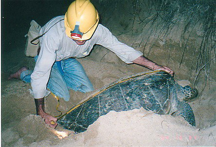 Footprints Adventures - Gold Coast Attractions 2