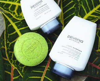 AQueous Spa - Gold Coast Attractions 1