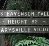 Stevensons Falls - Gold Coast Attractions