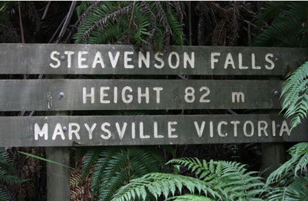 Stevensons Falls - Gold Coast Attractions 0