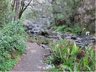 Stevensons Falls - Gold Coast Attractions 1