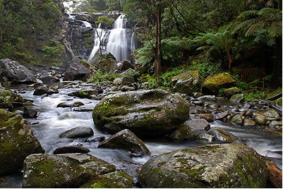 Stevensons Falls - Gold Coast Attractions 2